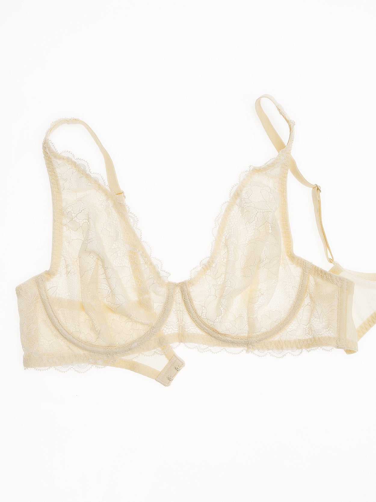 Sexy Sheer Lace Contour Plunge Bra Nude - WingsLove