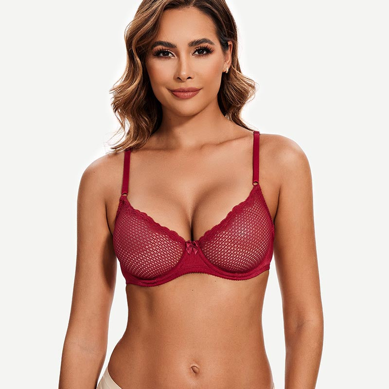 Sheer Lace Underwire Demi Bra with Plunge Neckline, Wine Red